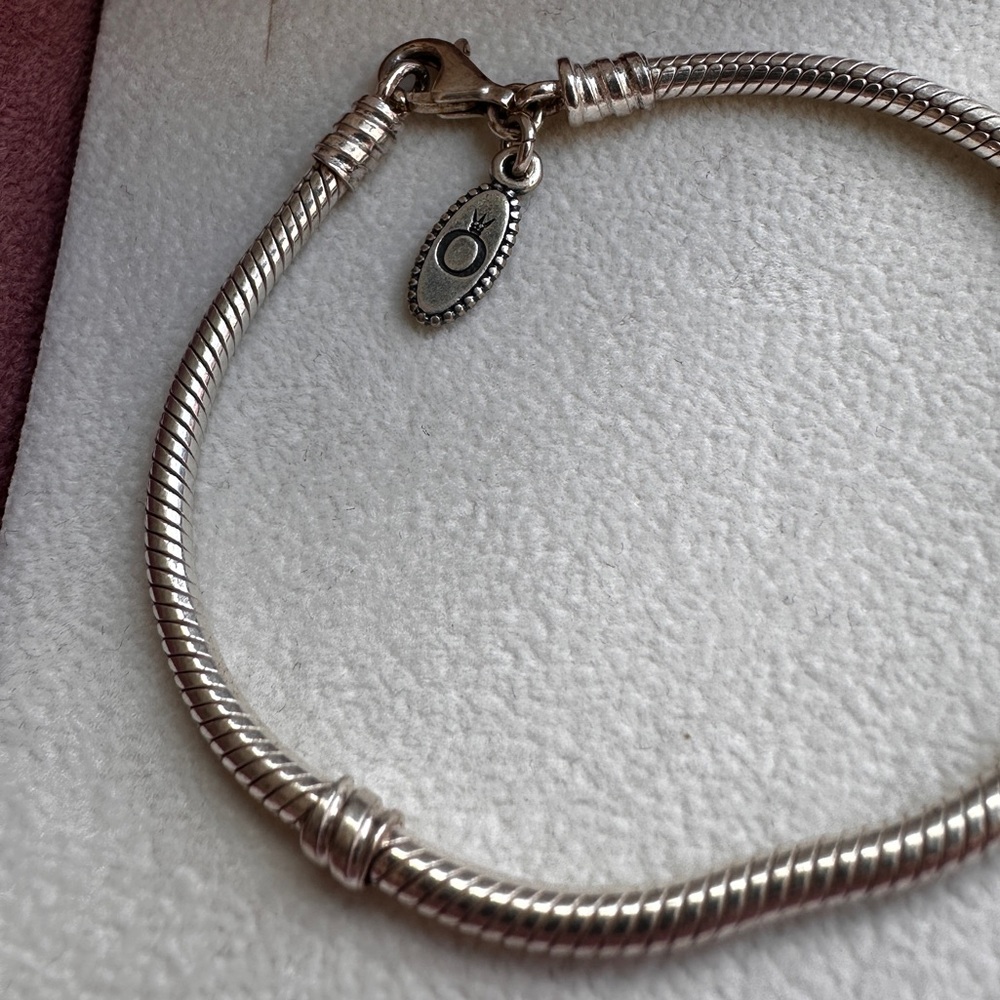 Pandora Bracelet - Picture 6 of 6